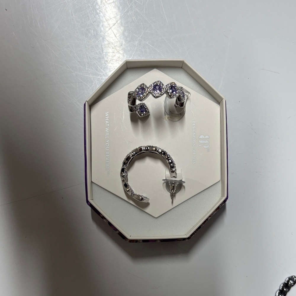 Stunning Silver and Purple Earrings by DP